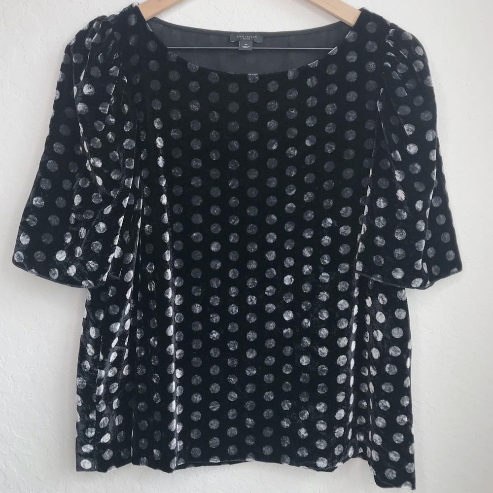 Ann Taylor Petite Velvet Polka Dot 1/2 Sleeve, MP